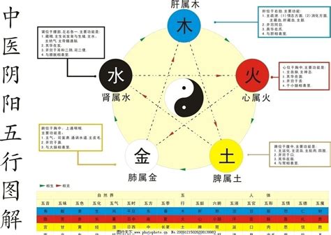 火代表什么|五行火代表什么